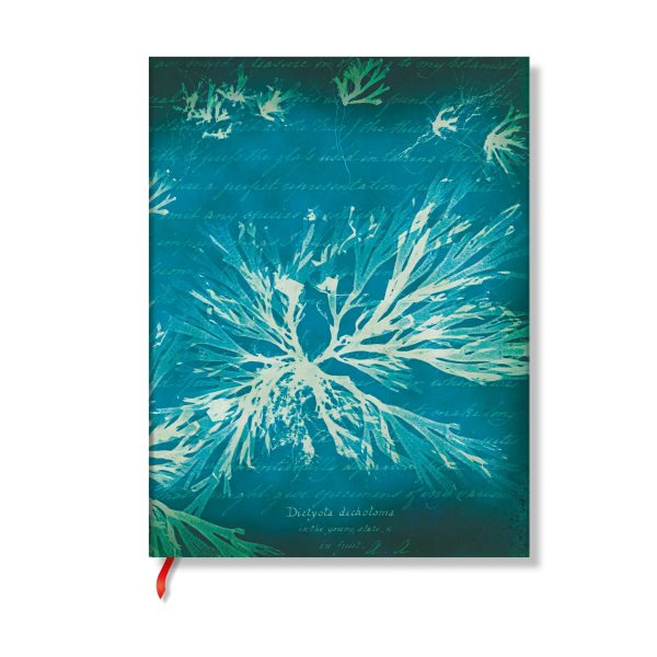 Sea Flowers (Anna Atkins Cyanotypes) Ultra Lined Softcover Flexi Journal  (Elastic Band Closure)