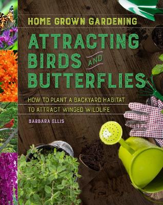 Attracting Birds and Butterflies: How to Plant a Backyard Habitat to Attract Winged Life