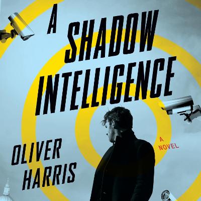 Shadow Intelligence