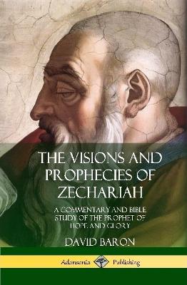 Visions and Prophecies of Zechariah: A Commentary and Bible Study of the Prophet of Hope and Glory (Hardcover)