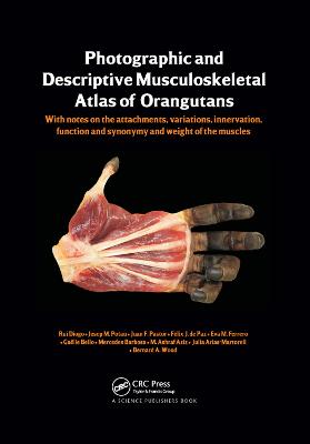 Photographic and Descriptive Musculoskeletal Atlas of Orangutans: with notes on the attachments, variations, innervations, function and  synonymy and weight of the muscles