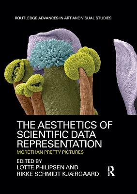 Aesthetics of Scientific Data Representation: More than Pretty Pictures