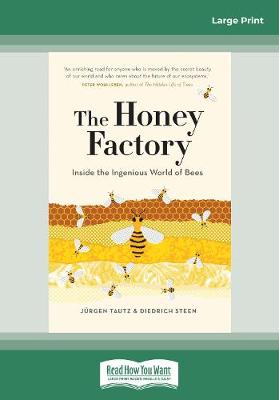 Honey Factory: Inside the Ingenious World of Bees Large type / large print edition