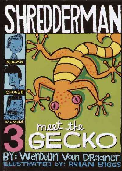 Meet the Gecko