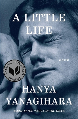 Little Life: A Novel