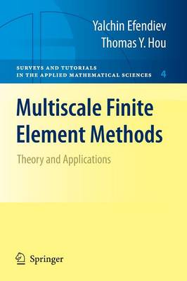 Multiscale Finite Element Methods: Theory and Applications 2009 ed.