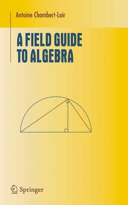 Field Guide to Algebra 2005 ed.