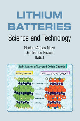 Lithium Batteries: Science and Technology 2003 ed.