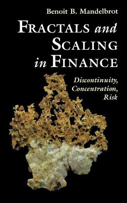 Fractals and Scaling in Finance: Discontinuity, Concentration, Risk. Selecta Volume E