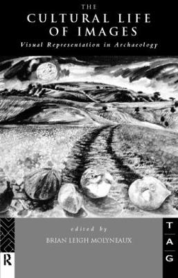 Cultural Life of Images: Visual Representation in Archaeology