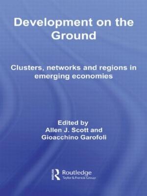 Development on the Ground: Clusters, Networks and Regions in Emerging Economies