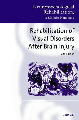 Rehabilitation of Visual Disorders After Brain Injury: 2nd Edition 2nd edition