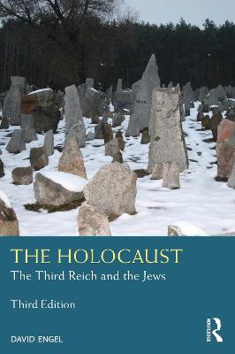 Holocaust: The Third Reich and the Jews