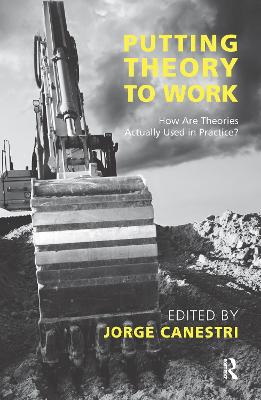 Putting Theory to Work: How are Theories Actually Used in Practice?