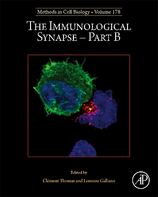 Immunological Synapse - Part B, Volume 178