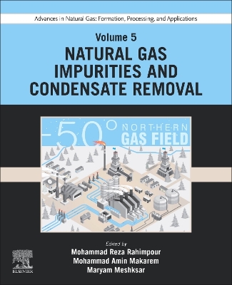 Advances in Natural Gas: Formation, Processing, and Applications. Volume 5:  Natural Gas Impurities and Condensate Removal
