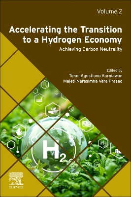 Accelerating the Transition to a Hydrogen Economy: Achieving Carbon Neutrality Volume 2
