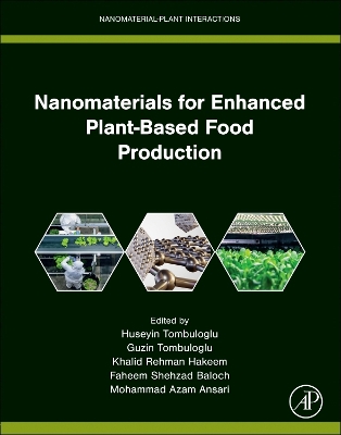 Nanomaterials for Enhanced Plant-Based Food Production: NMPI