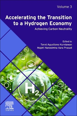 Accelerating the Transition to a Hydrogen Economy: Achieving Carbon Neutrality