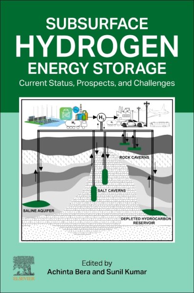 Subsurface Hydrogen Energy Storage: Current Status, Prospects, and Challenges