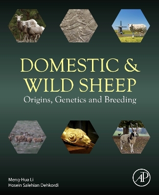 Domestic and Wild Sheep: Origins, Genetics and Breeding