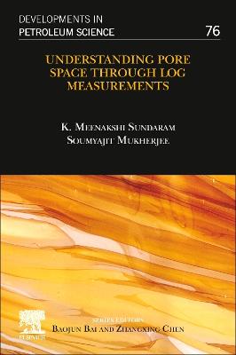 Understanding Pore Space through Log Measurements, Volume 76