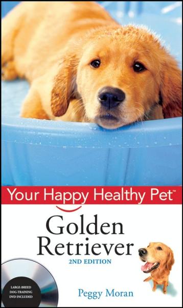 Golden Retriever: Your Happy Healthy Pet