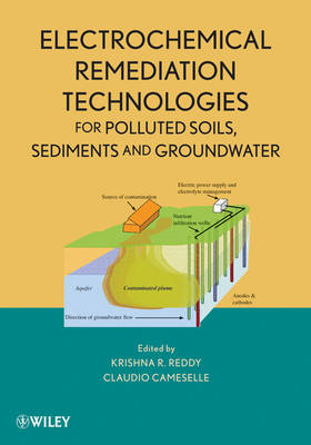 Electrochemical Remediation Technologies for Polluted Soils, Sediments and   Groundwater
