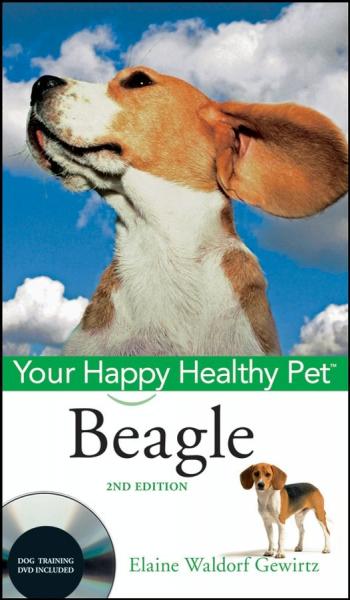 Beagle: Your Happy Healthy Pet