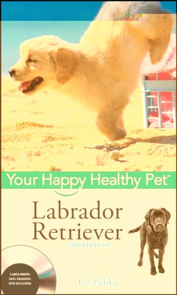 Labrador Retriever: Your Happy Healthy Pet