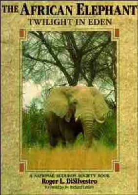African Elephant: Twilight in Eden