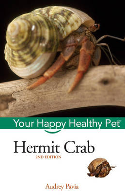 Hermit Crab
