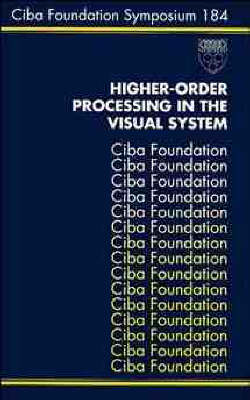 Higher-order Processing in the Visual System