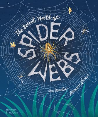 Secret World of Spider Webs