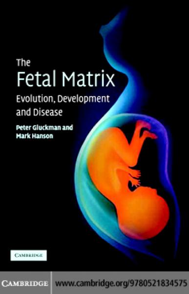 Fetal Matrix: Evolution, Development and Disease