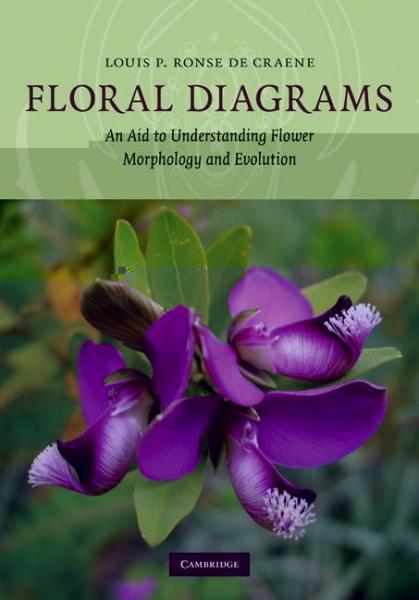 Floral Diagrams: An Aid to Understanding Flower Morphology and Evolution