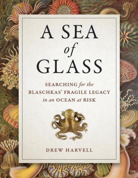 Sea of Glass: Searching for the Blaschkas' Fragile Legacy in an Ocean at Risk