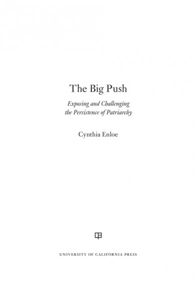 Big Push: Exposing and Challenging the Persistence of Patriarchy