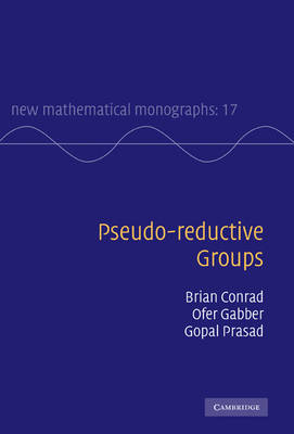 Pseudo-reductive Groups