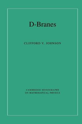 D-Branes