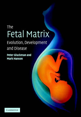 Fetal Matrix: Evolution, Development and Disease