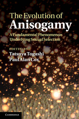 Evolution of Anisogamy: A Fundamental Phenomenon Underlying Sexual Selection