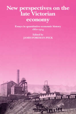 New Perspectives on the Late Victorian Economy: Essays in Quantitative Economic History, 18601914