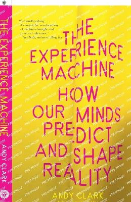 Experience Machine: How Our Minds Predict and Shape Reality