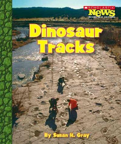 Dinosaur Tracks