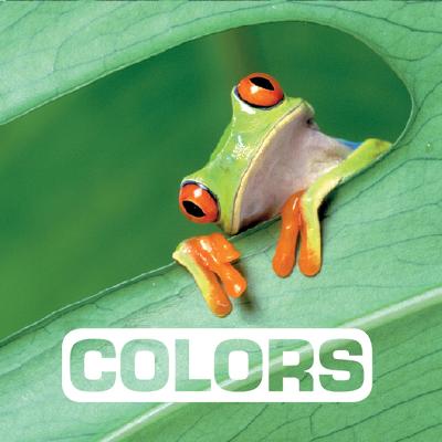 Colors: Picture This