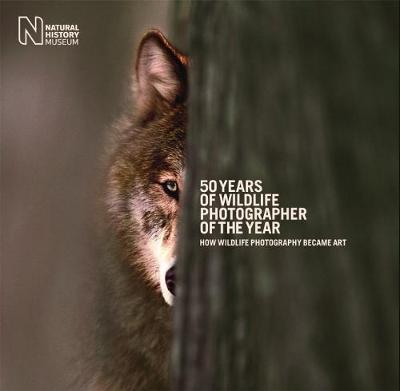 50 Years of Wildlife Photographer of the Year: How Wildlife Photography Became Art