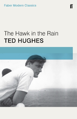 Hawk in the Rain Main - Faber Modern Classics