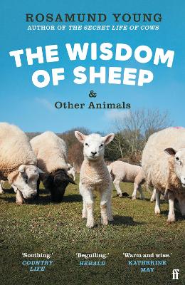 Wisdom of Sheep & Other Animals
