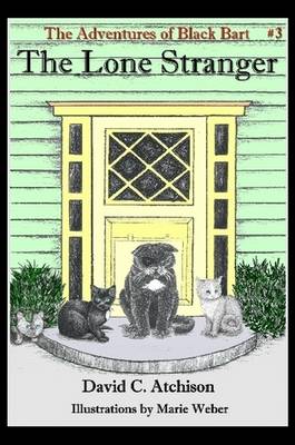 Adventures of Black Bart: The Lone Stranger
